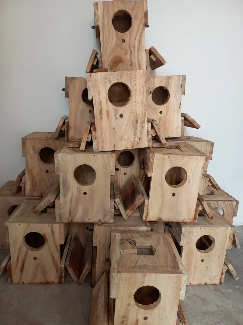 Lovebirds Breeding Boxes