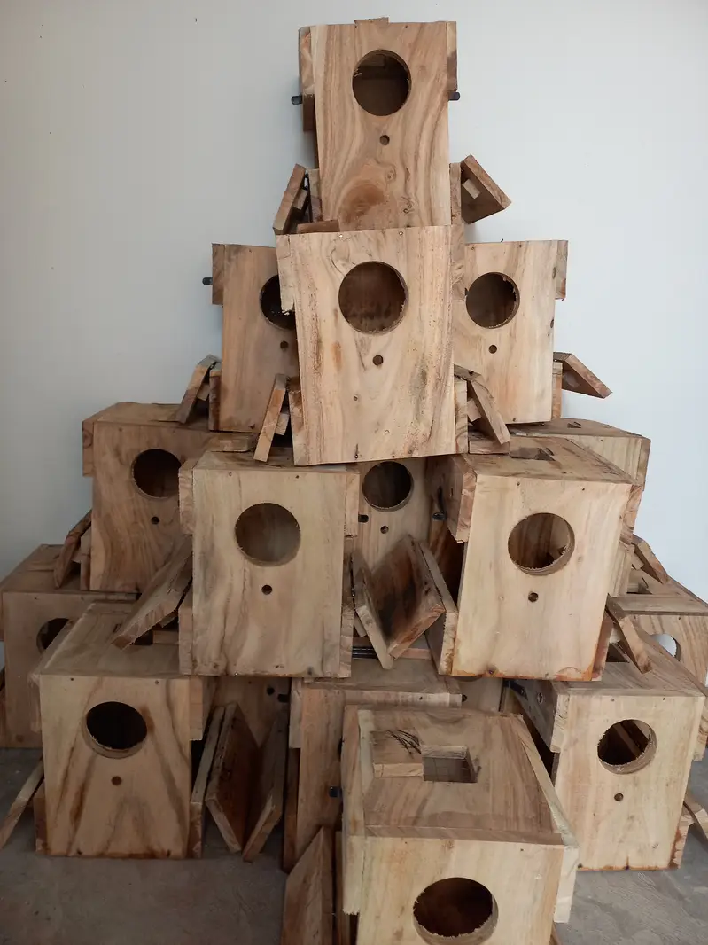 Lovebirds Breeding Boxes — photo 2