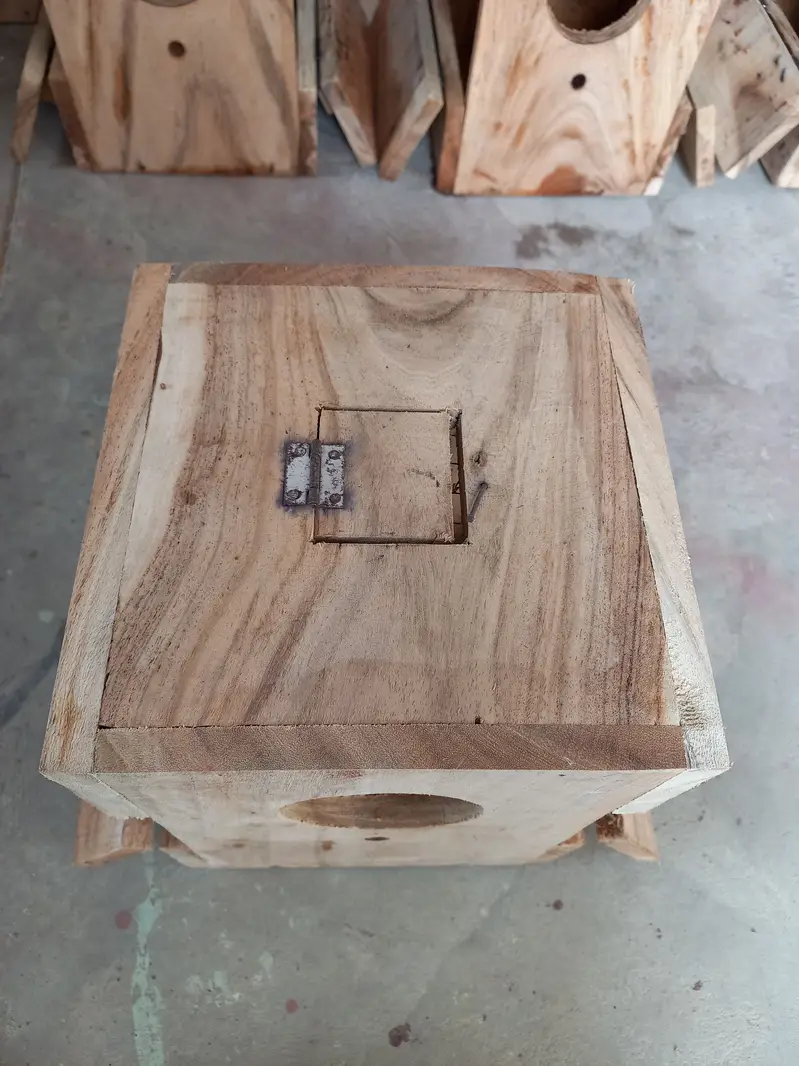 Lovebirds Breeding Boxes — photo 5