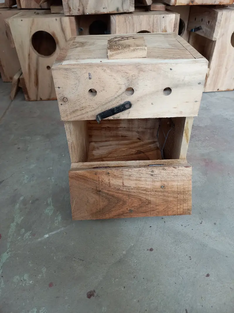 Lovebirds Breeding Boxes — photo 8