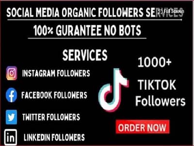 Buy Real Social Media Followers, Likes & Views – Fast Delivery