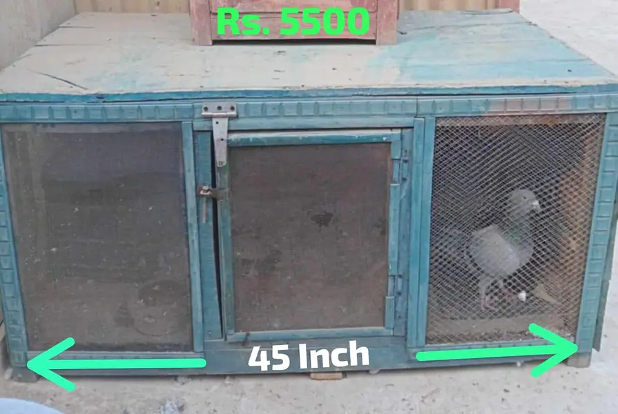 Wooden Cage — photo 2