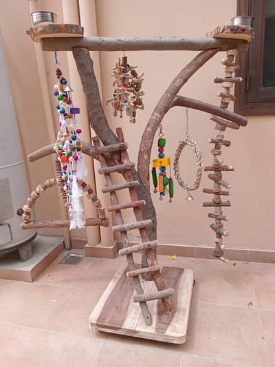 Parrot Bird toys wooden stand perches cage everything