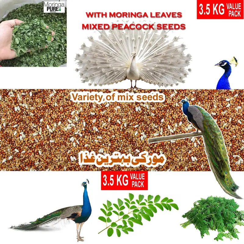 Parrot Bird toys wooden stand perches cage everything — photo 4