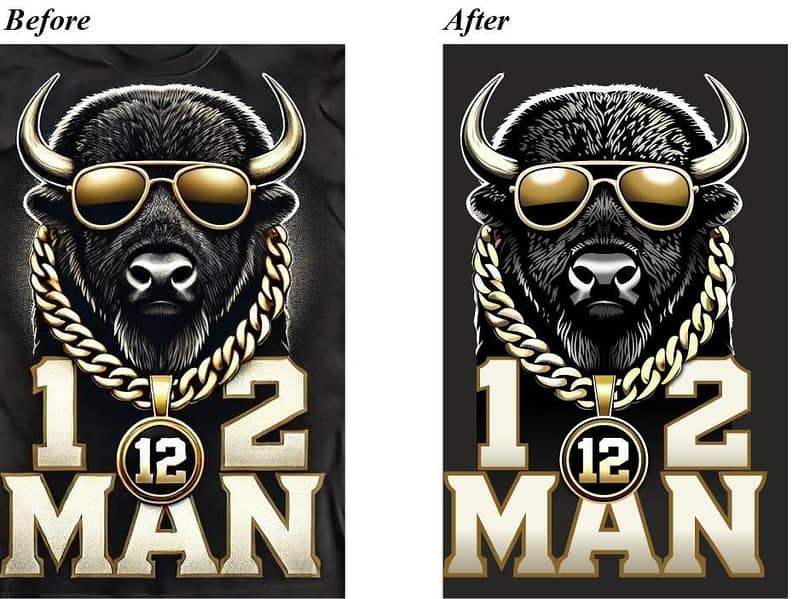 Professional Vector Graphics Designer 0