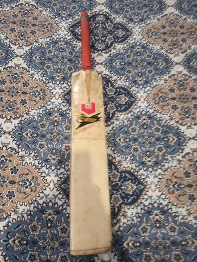 cricket hard ball bat
