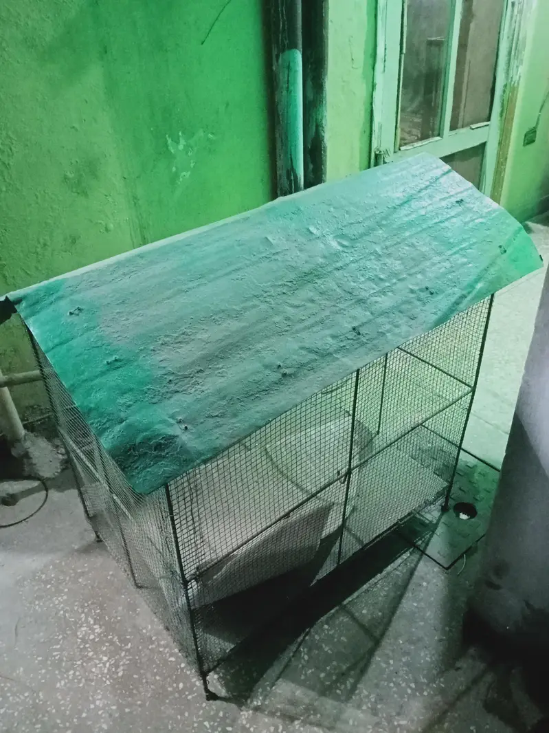 Bird cage/ Pinjra — photo 2