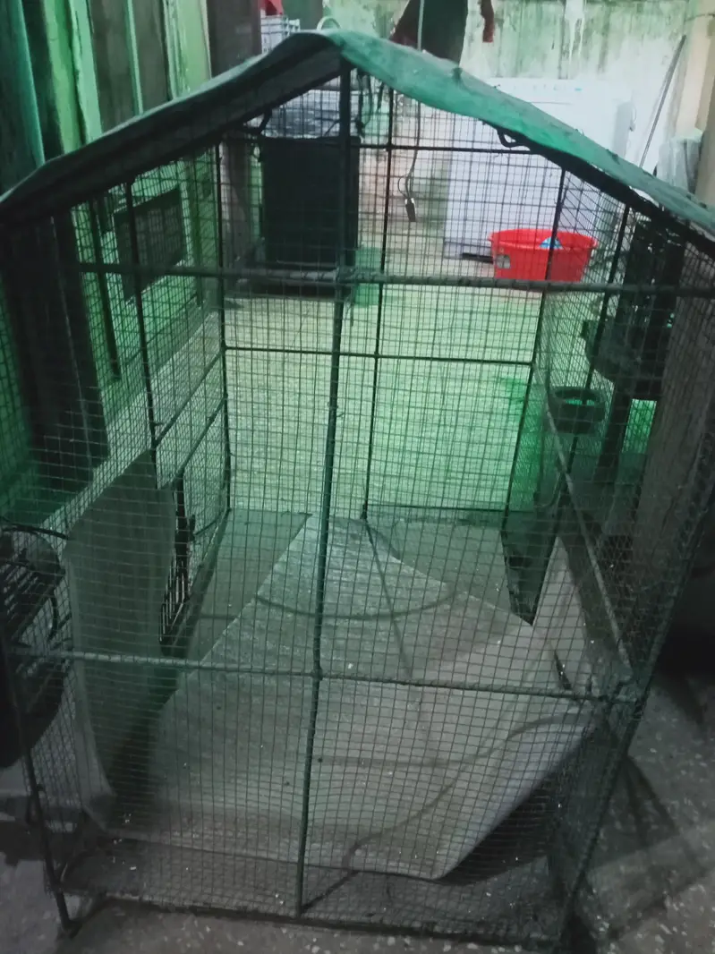 Bird cage/ Pinjra — photo 3