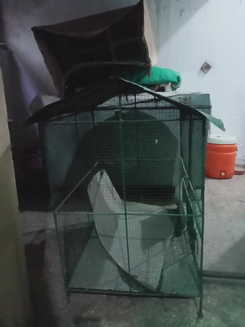 Bird cage/ Pinjra — photo 6