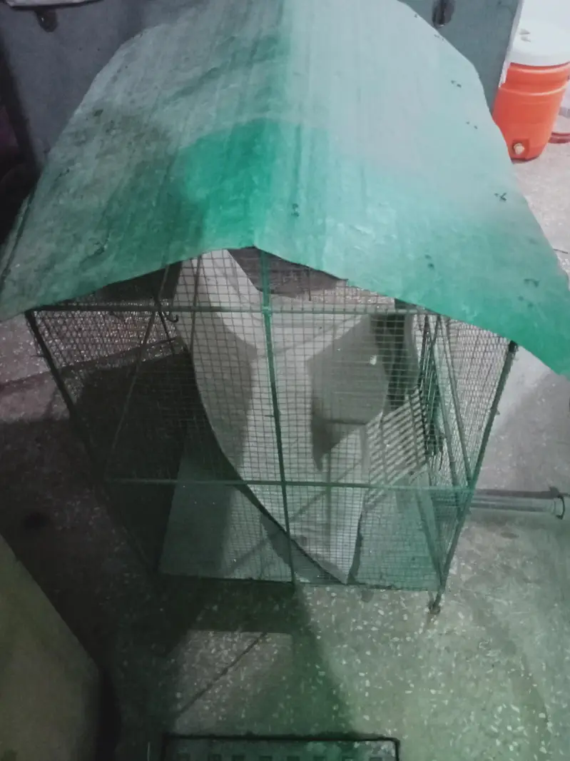 Bird cage/ Pinjra — photo 7