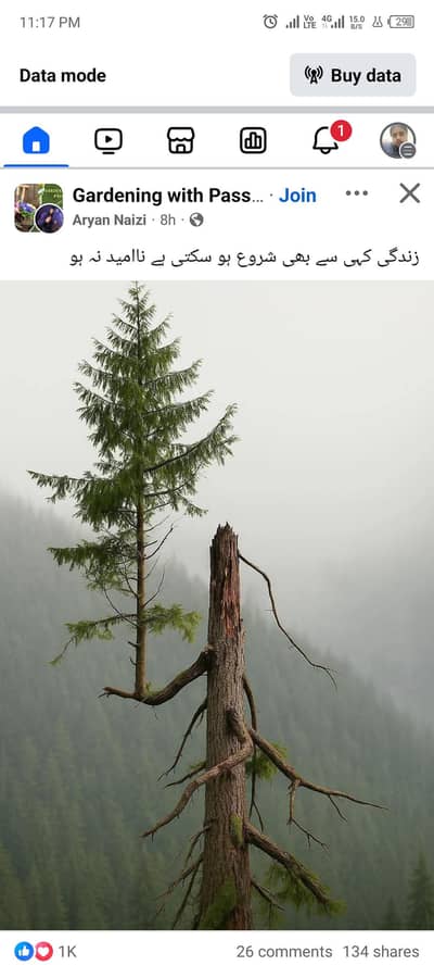 Girl/Lady Required As Worker In New Office