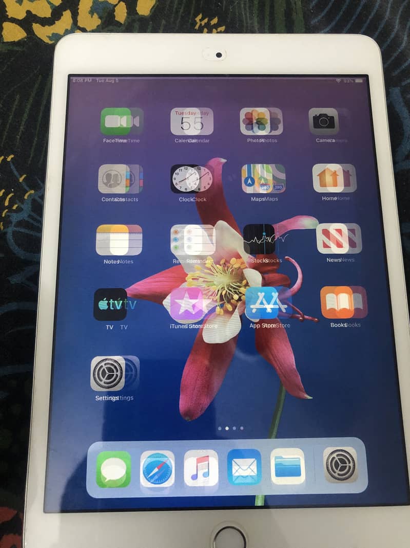 iPad mini 3 1