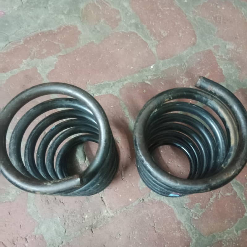 cultus back spring 1