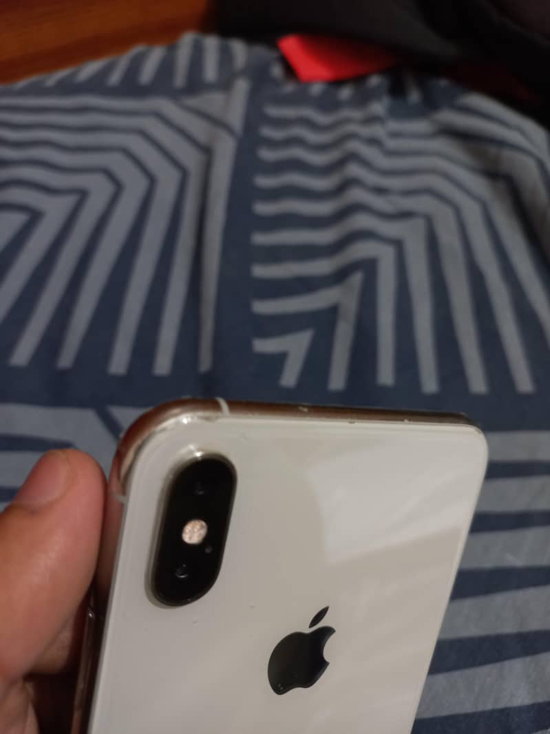XS Max 1