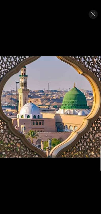 Zain saha 