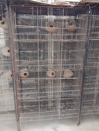 12 Portion cage