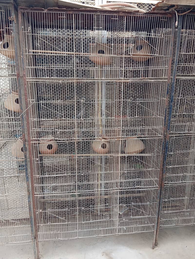 12 Portion cage 1