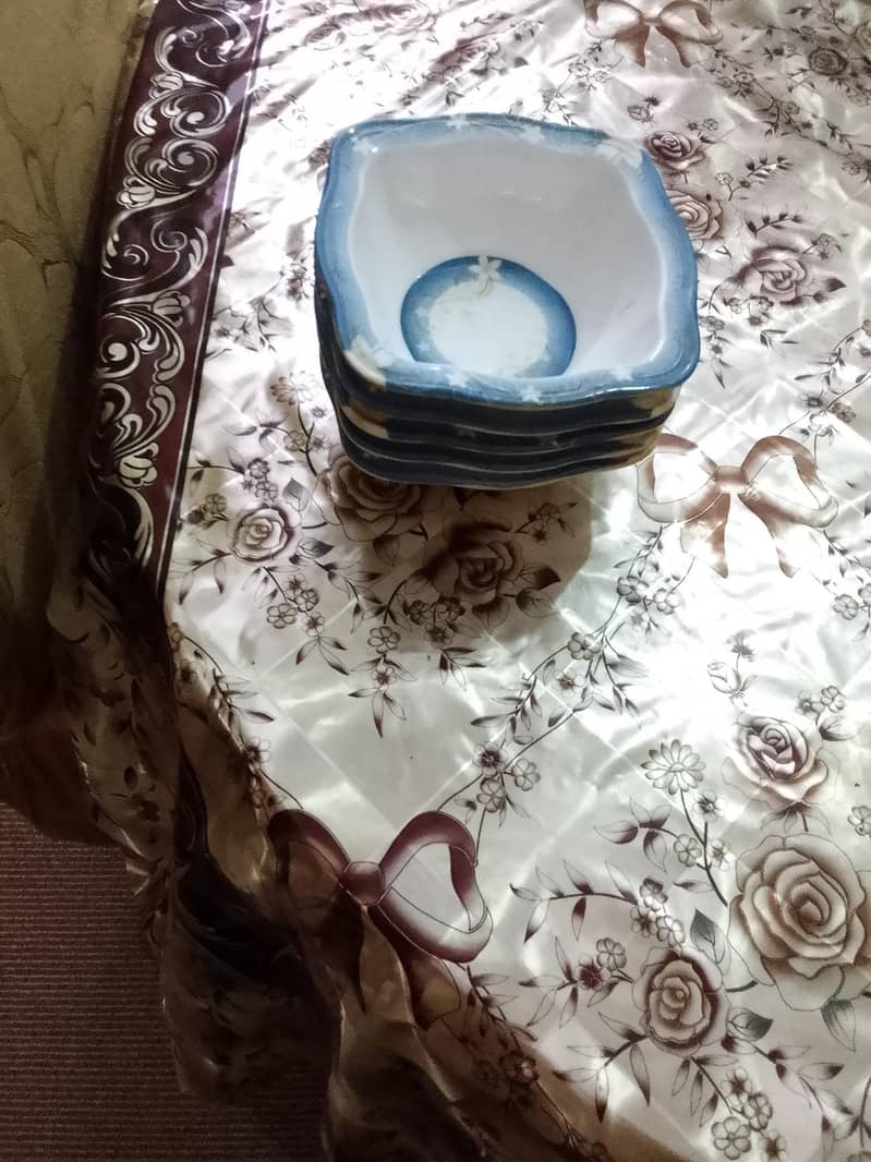 غیراستعمال شدہ پلاسٹک  کے برتن 3