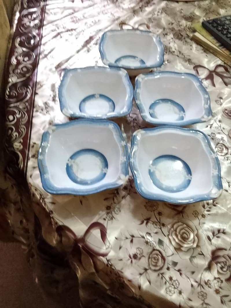 غیراستعمال شدہ پلاسٹک  کے برتن 5