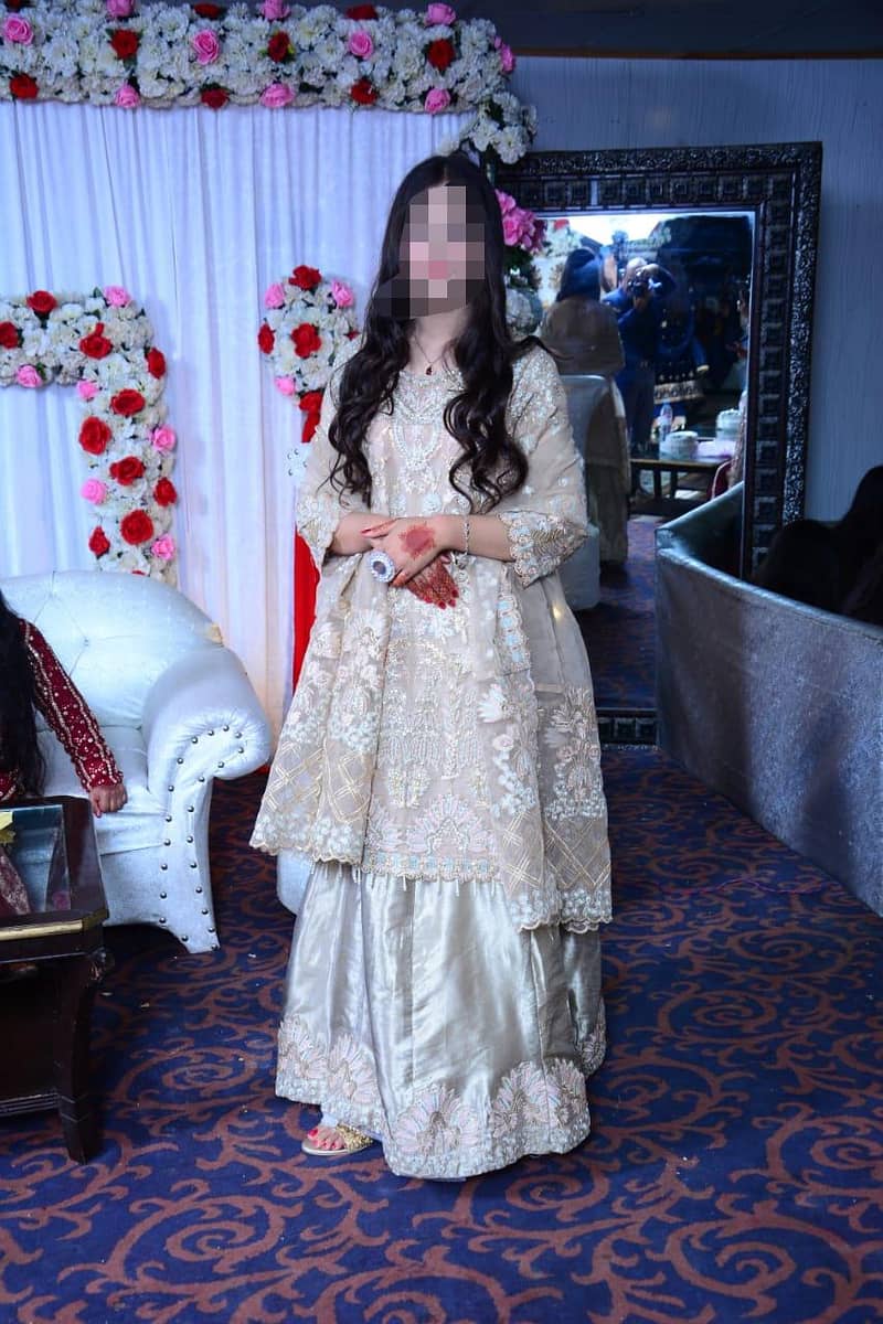 fancy wedding dress 0