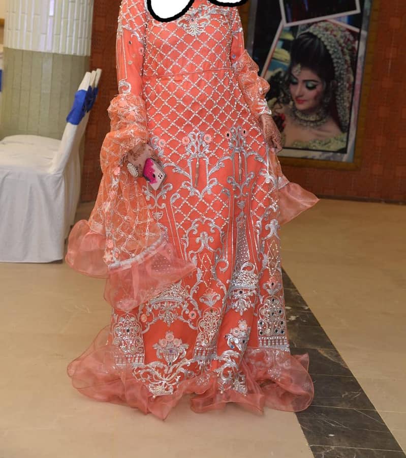 ayesha's 2