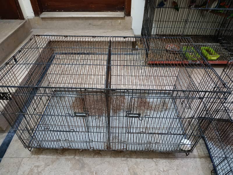 cages 1