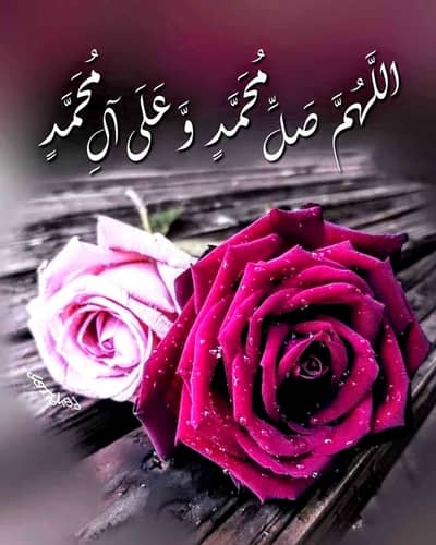 Saeed 