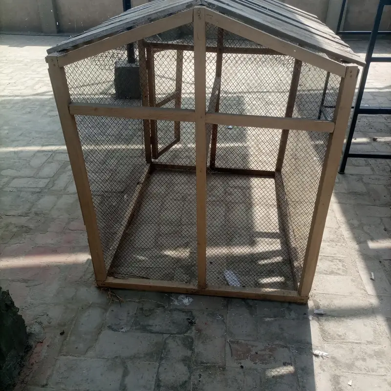 Birds cage in very good condition — photo 5