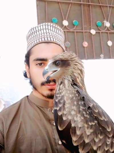 Adeel