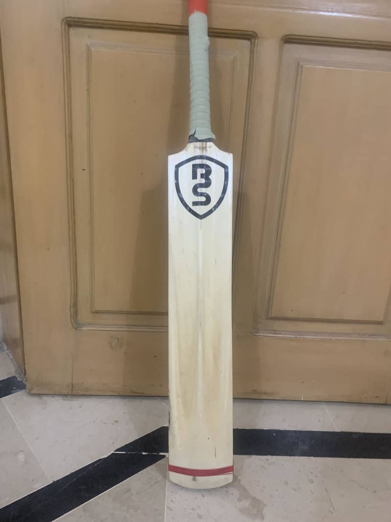 Cricket Bat 2