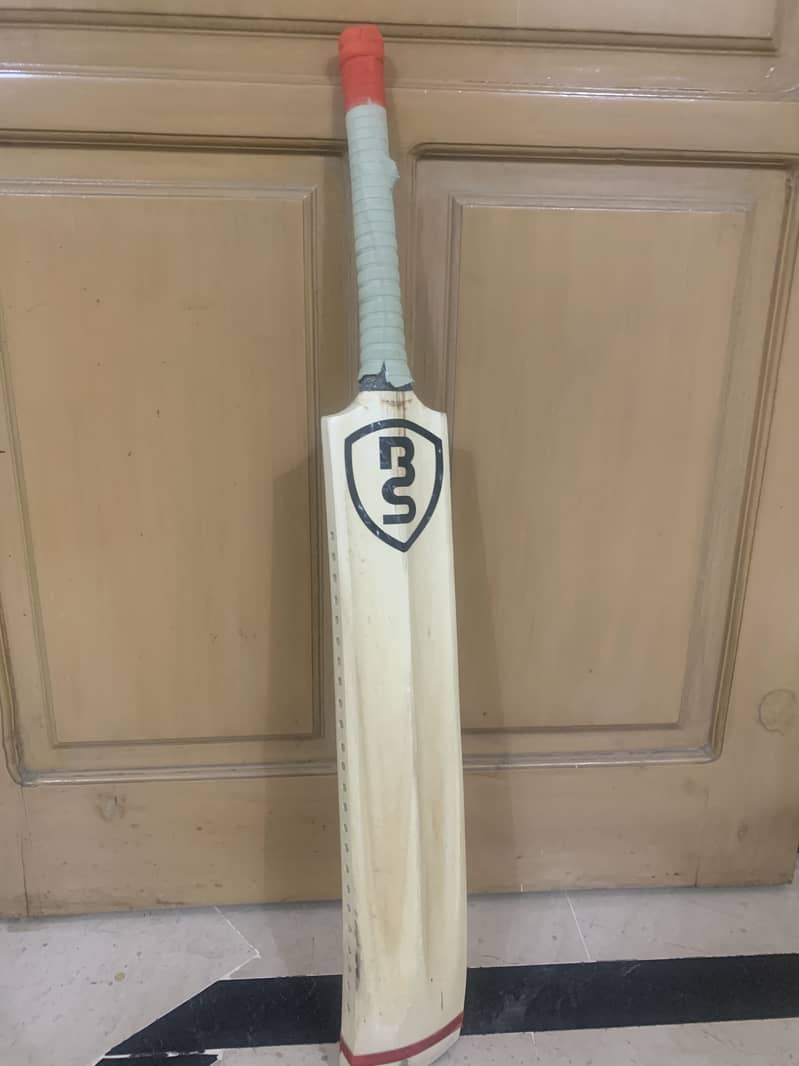 Cricket Bat 3