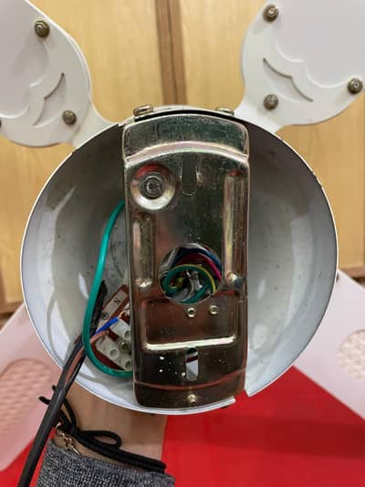 Argos Australia Electric Schendlier Light Fan