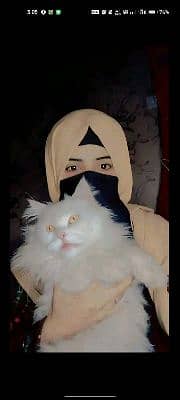 arzu Munir 