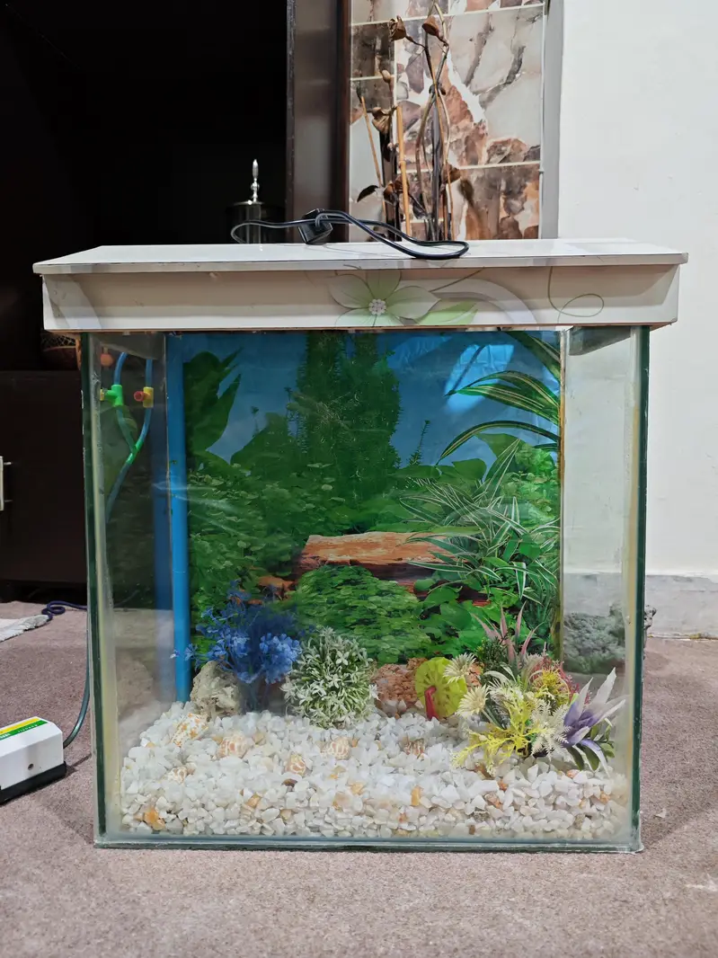 Fish Aquarium with accessories.