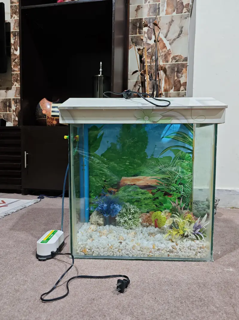 Fish Aquarium with accessories. — photo 2