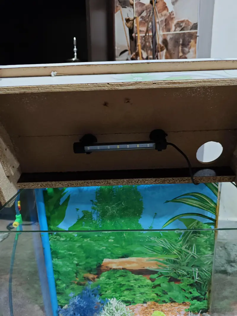 Fish Aquarium with accessories. — photo 3