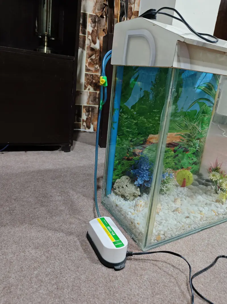 Fish Aquarium with accessories. — photo 4