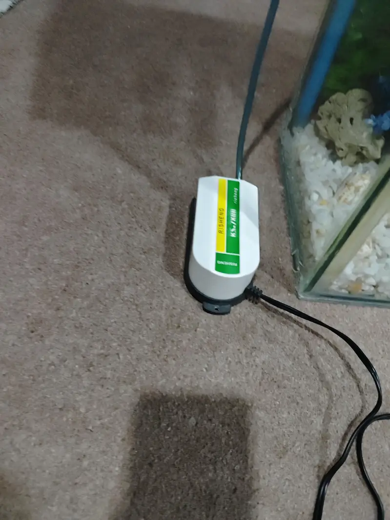 Fish Aquarium with accessories. — photo 5