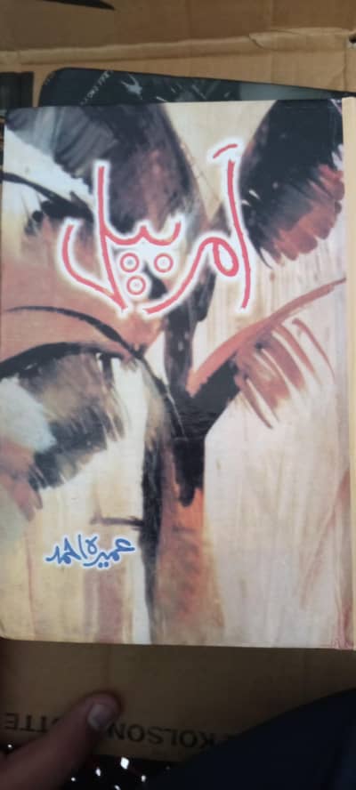 Amr bail novel a realistic novel or automotive or sad novel