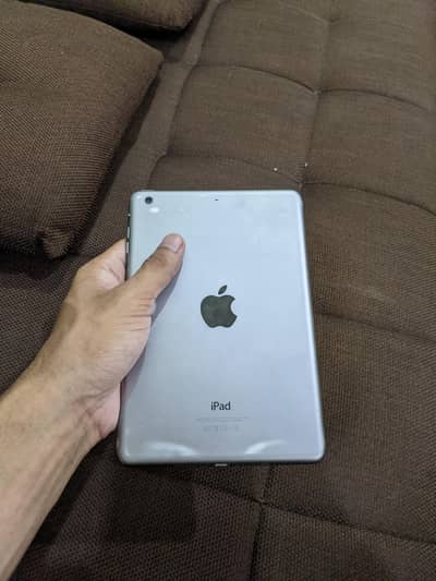 iPad Mini 2