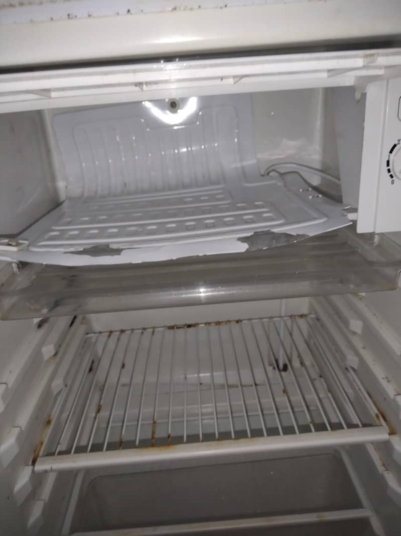 mini fridge 1