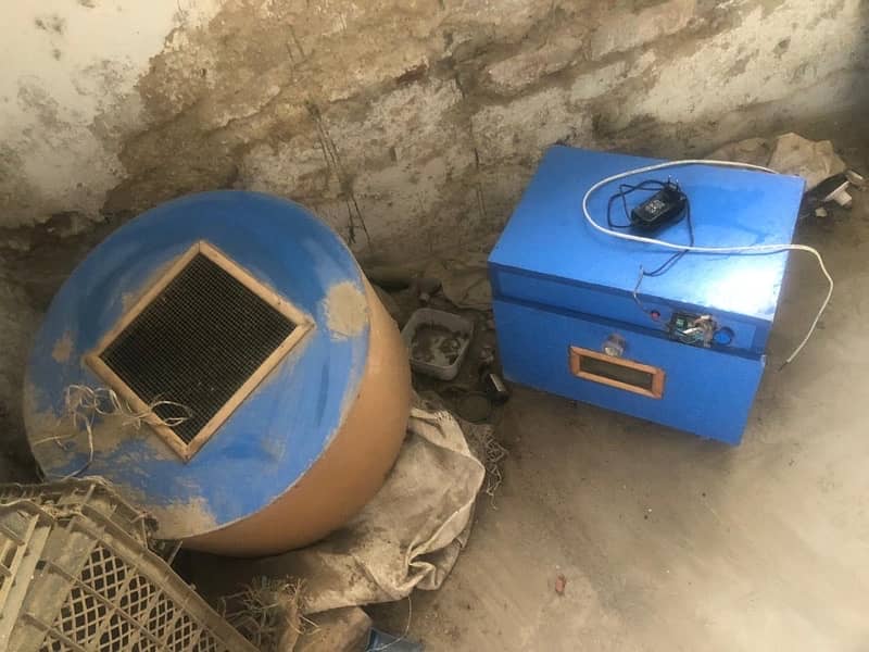 Incubator and brooder 1