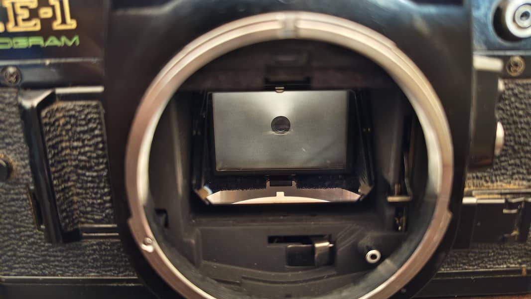 Canon AE 1 program Camera 5