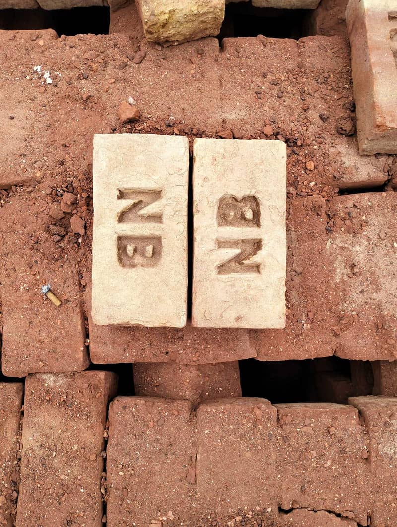 Special Bricks 0