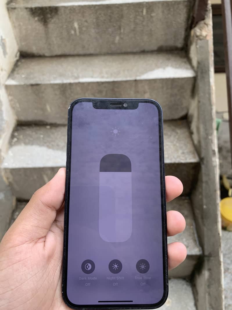 Apple iPhone 12 1
