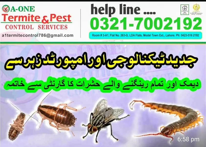 Fumgation/Cockroches solution/Bed bugs/pest control · Termite 5