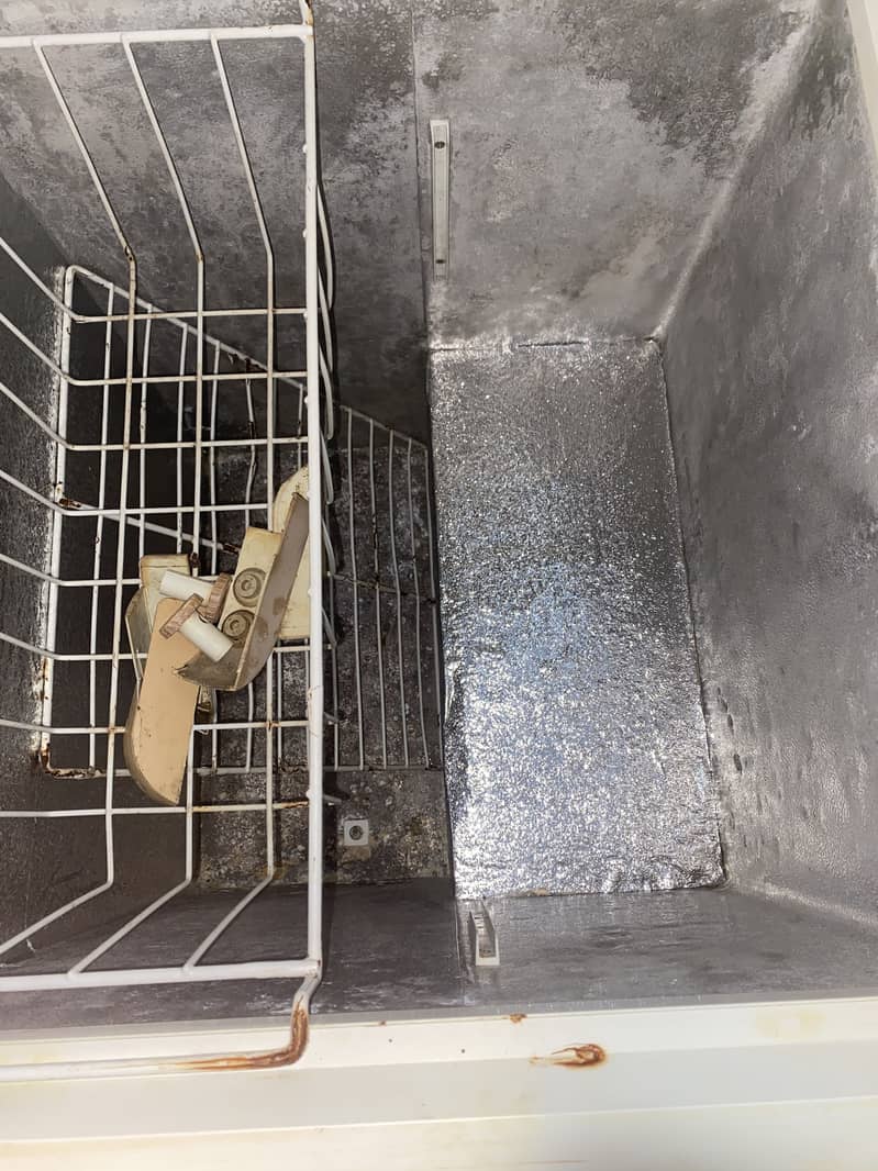 Hair Freezer 2 Door - Freezers - 1105284797