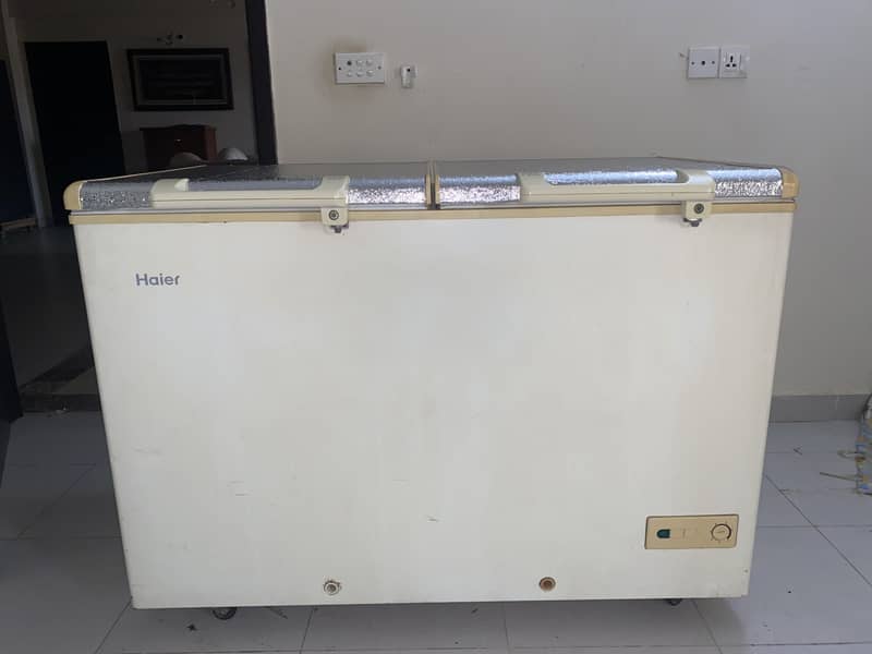 Hair Freezer 2 Door - Freezers - 1105284797