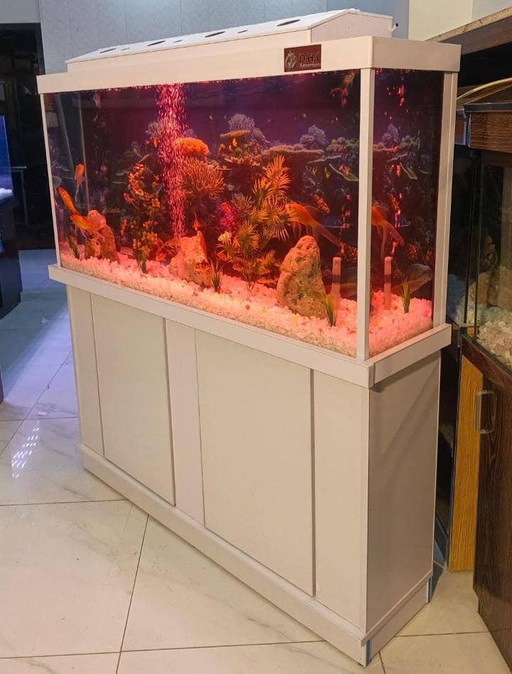White Haven Aquarium - Fish - 1105298790