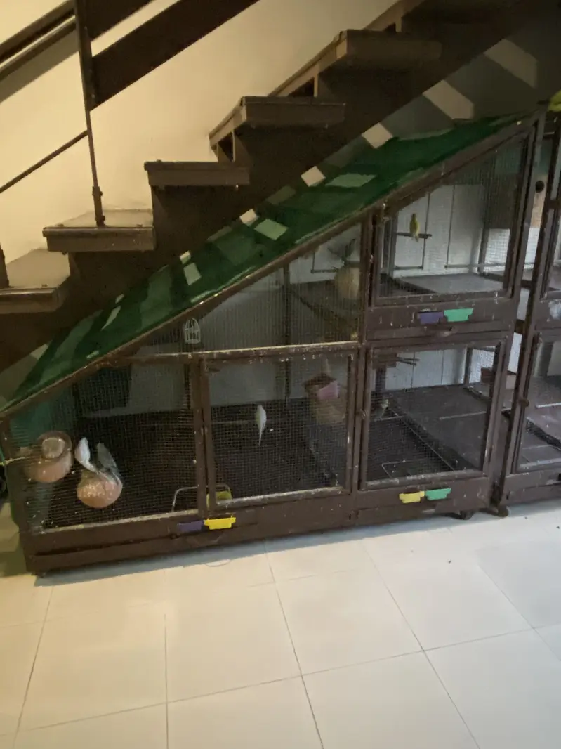 Cages 30k each